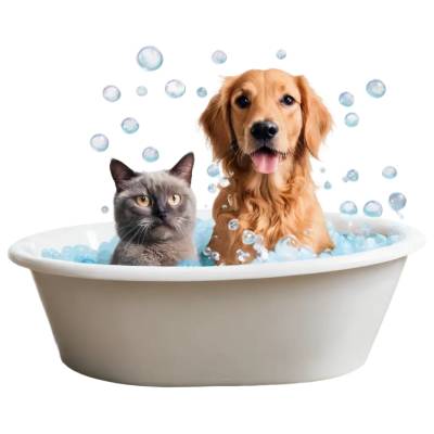 Pets Care